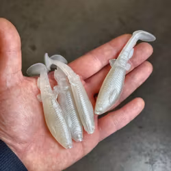 GigabiteV2 Albino UV 10cm - 4pcs