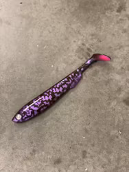 Gigashad Purple Junebug 24cm
