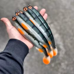 Gigashad Iridescent Perch 27cm