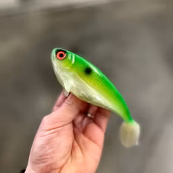 Snackbite Rügen Herring UV 16cm