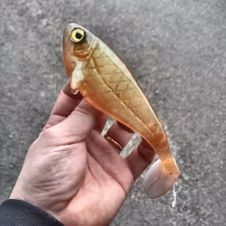 Snackbite Kiwi Lover UV 16cm