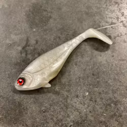 Snackbite Albino 16cm