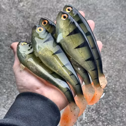 Snackbite Baby Perch 16cm