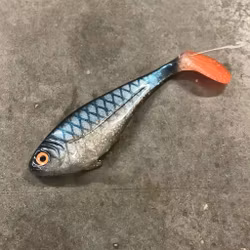 Snackbite UV Roach 16cm