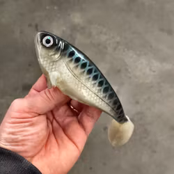 Snackbite UV Nors 16cm