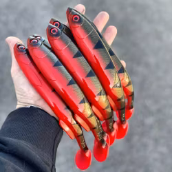 Gigashad Red Tiger 24cm