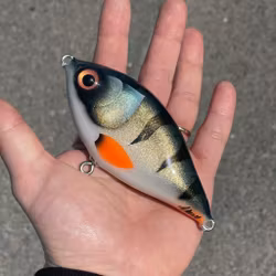 Piepie Baby Perch 13cm