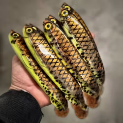 Gigashad Hot Motoroil Burbot 27cm