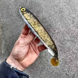 Gigashad Golden Motoroil Burbot 27cm