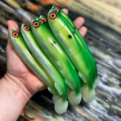 Gigashad Rügen Herring  24cm