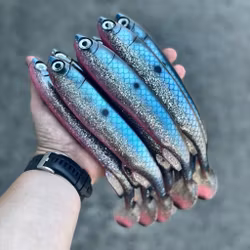 Gigashad Glitter Dawn 27cm