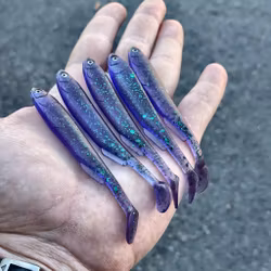 Gigashad Junebug 10cm - 5pcs