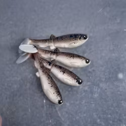 GigabiteV2 Brown Pepper 8cm - 4pcs