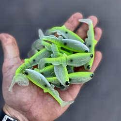 GigabiteV2 Limon 8cm - 4pcs