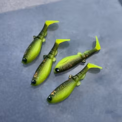 GigabiteV2 Chartips Pumpkin 8cm - 4pcs