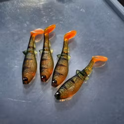GigabiteV2 Motoroil Perch  8cm - 4pcs