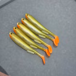 Gigashad Bass orange 10cm - 5pcs