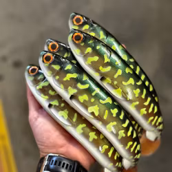 Gigashad Kiwi Pike 33cm