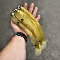 Gigashad Ultimate Slom 33cm