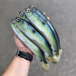 Gigashad Sexy Shad 33cm