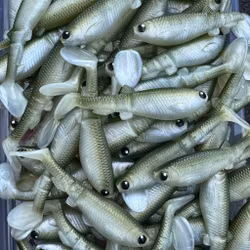 GigabiteV2 Ayu 10cm - 4pcs