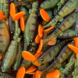 GigabiteV2 Hot Motoroil  Perch 10cm - 4pcs