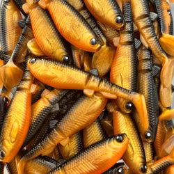 GigabiteV2 Skitmört 8cm - 4pcs