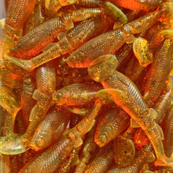 GigabiteV2 Pure Motoroil Gold 8cm - 4pcs