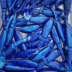 GigabiteV2 Black & Blue UV 8cm - 4pcs