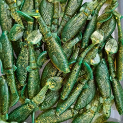 GigabiteV2 Green Motoroil Gold 8cm - 4pcs