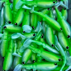 GigabiteV2 Rügen Herring 8cm - 4pcs