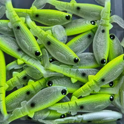 GigabiteV2 Limon 8cm - 4pcs