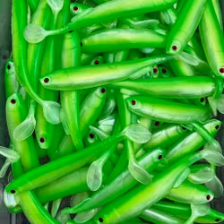 Gigashad Rügen Herring 10cm - 5pcs