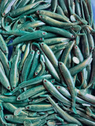 Gigashad Motoroil Creep 10cm - 5pcs