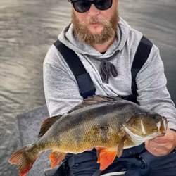 Gigashad Kiwi Lover UV 10cm - 5pcs