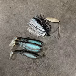 Kopia MCB Perch Spinnerbait Match The Hatch 7g