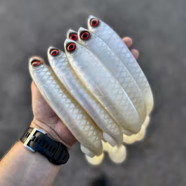 Gigashad Albino UV 27cm