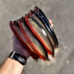 Gigashad Red Ghost 27cm