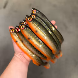 Gigashad Hot Stuff 27cm