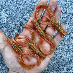 Crawler Mälaroil 8,5cm - 4 pcs