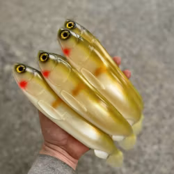 Gigashad Setsuki Ayo 33cm