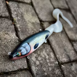 Gigatail TERRA - Sill Royale 50cm