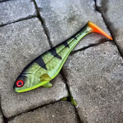 Snackbite Hot Kiwi Perch 21cm