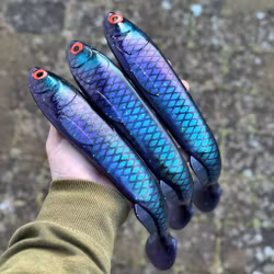 Gigashad 80 Talarn 33cm