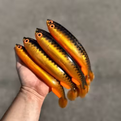 Gigashad Skitmört 24cm