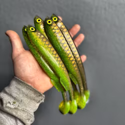 Gigashad Toxic Bream 24cm