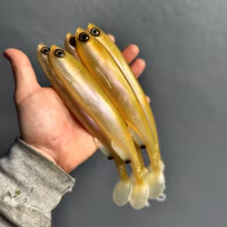 Gigashad Wakasagi 24cm