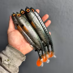 Gigashad Hot Glitter Herring 24cm