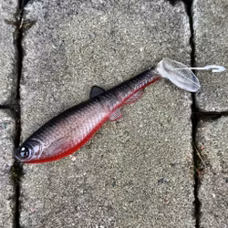 GigabiteV2 Red Ghost 14cm