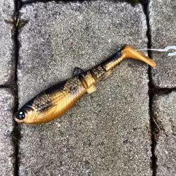 GigabiteV2 Spotted Bullhead 14cm
